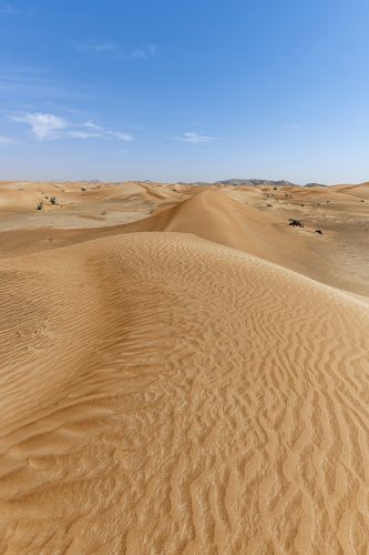 Dunes and Mountains landscape