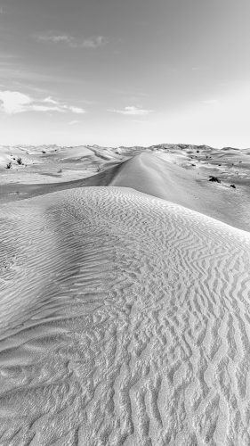 Dunes and Mountains landscape in black and white