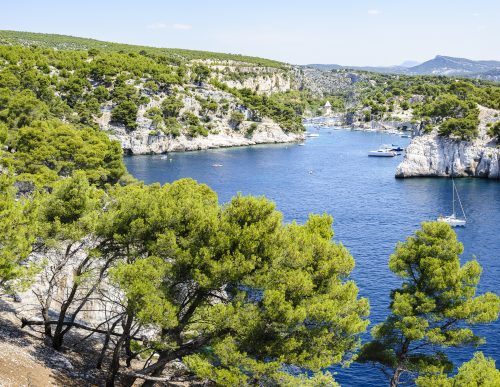 Calanque and port of Port-Miou, Cassis, South of France 🇫🇷