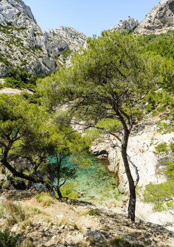 Beach in the Calanques in South of France 🇫🇷