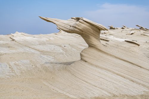 Al Wathba Fossil Dunes, Abu Dhabi, UAE 🇦🇪