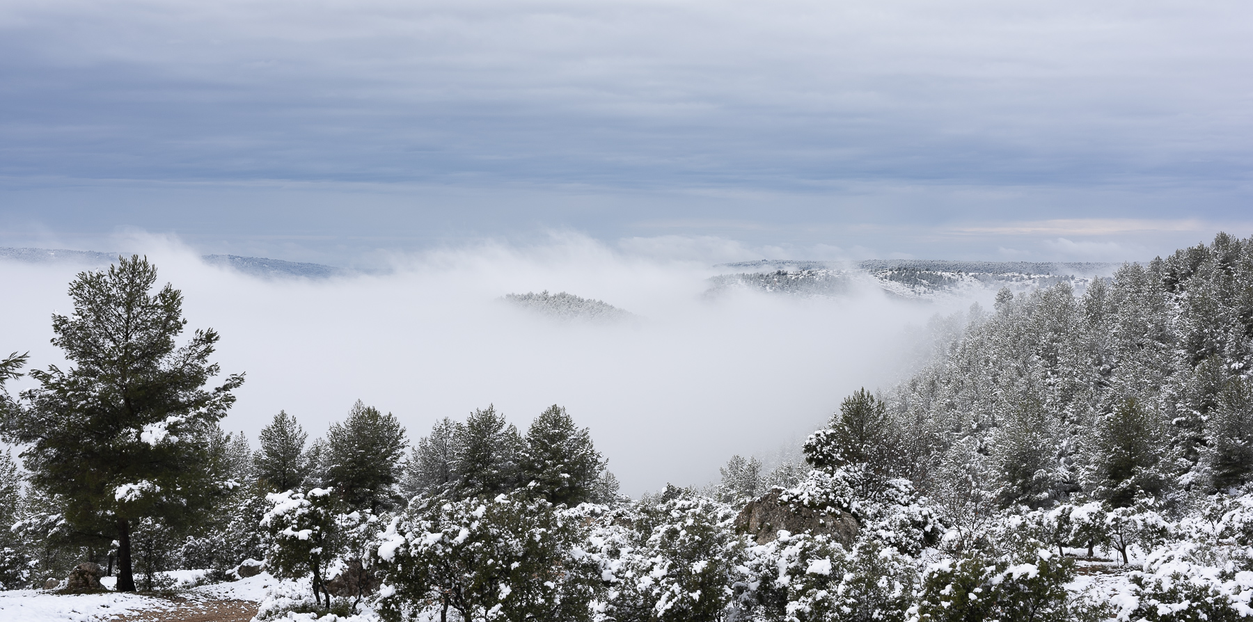 Snowy Provencal Serenity Art Print