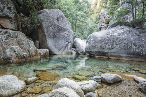 Summer Serenity in Purcaraccia Canyon, Corsica