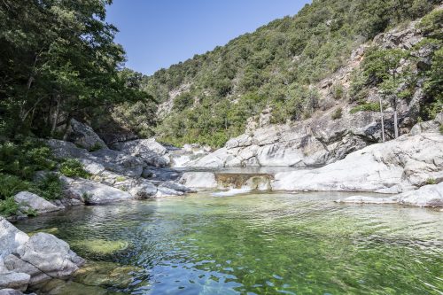 River with natural pools and forest of Travu valley. Chisà, Corsica, France