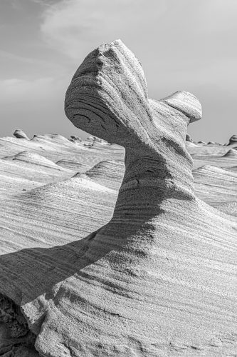 Al Wathba sand stones or Fossil Dunes in the desert of Abu Dhabi, United Arab Emirates