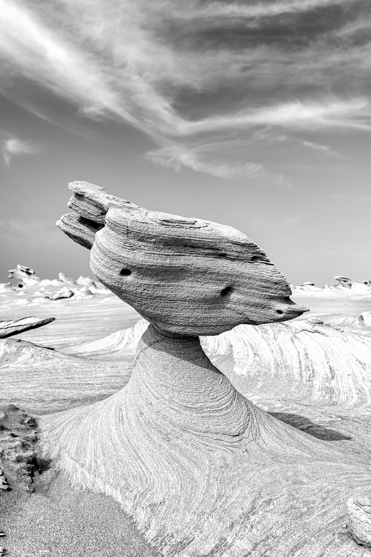 Al Wathba sand stones or Fossil Dunes, the Art and Creation of Nature, in the desert of Abu Dhabi. Surprising forms are created by wind-swept sand and calcium carbonate. United Arab Emirates