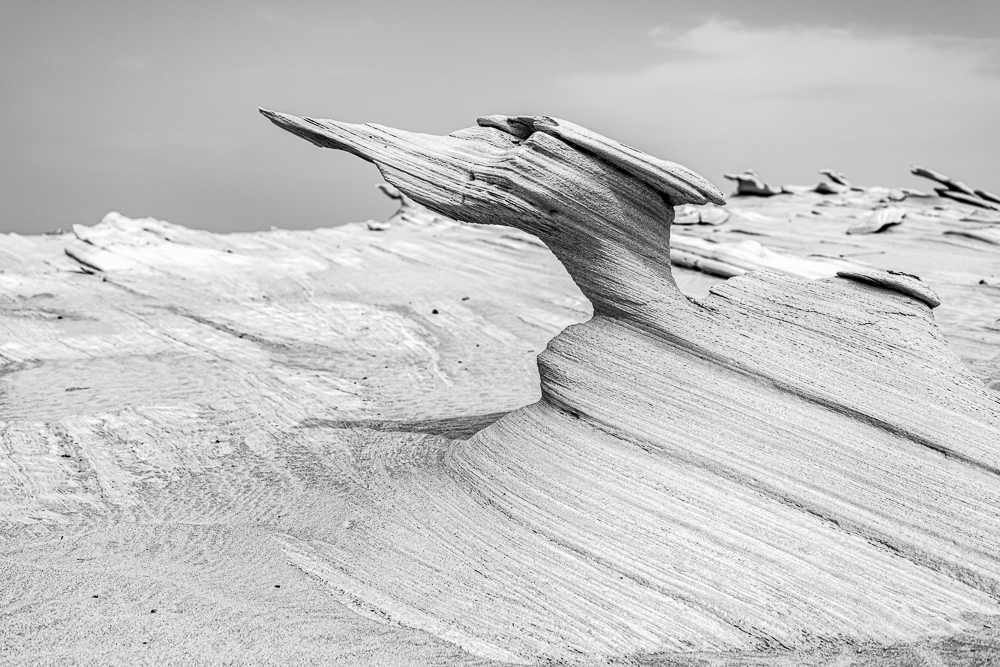 Discover the unique beauty of Al Wathba Fossil Dunes in Abu Dhabi, the Art and Creation of Nature!