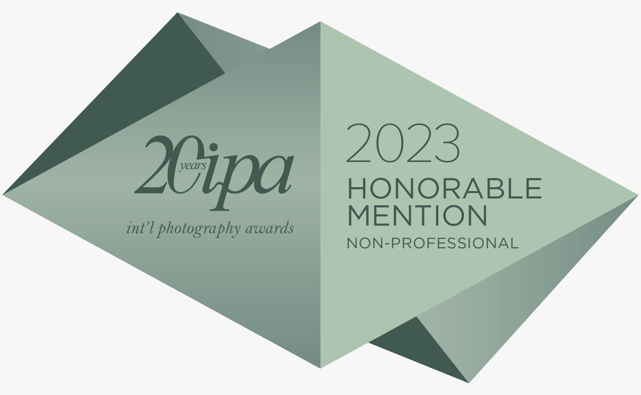 IPA 2023 Honorable Mention