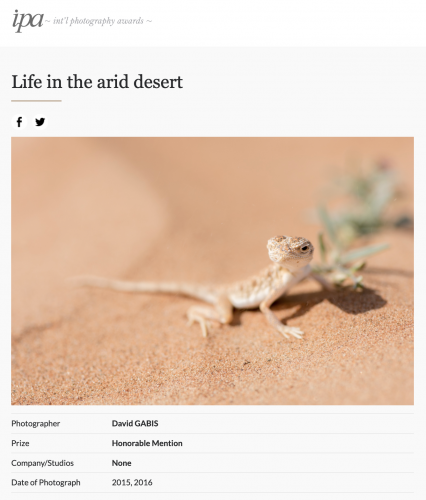 Non-Professional IPA 2017
Life in the arid desert - Honorable Mention - DAVID GABIS