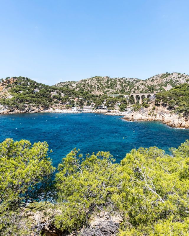 Feeling Stressed? Let Calanque of Méjean Work Its Magic on You! 🏞️✨
The ultimate spot for serenity and stunning views 🌅🌊

'Take Nothing but Photos, Leave Nothing but Footprints'⁠

📸 Nikon D850 - Nikkor 20mm
1/200sec at f/8,0 & 1/400sec
ISO 64

#landscape #travel #MadeWithLightroom #ExploreFrance #visitsouthoffrance #capturethemoment #paca #sud #laprovence #regionsud #exploreregionsud #france #TravelNow #maregionsud #lespepitesdefrance #Mejean #CoteBleue #calanques #Provence #instalaprovence #igersPaca #lgersFrance #ProvenceGuide #explore_regionsud #fierdusud
Région Sud Provence-Alpes-Côte d'Azur Explore France Ville d'Ensuès La Redonne @explore_regionsud